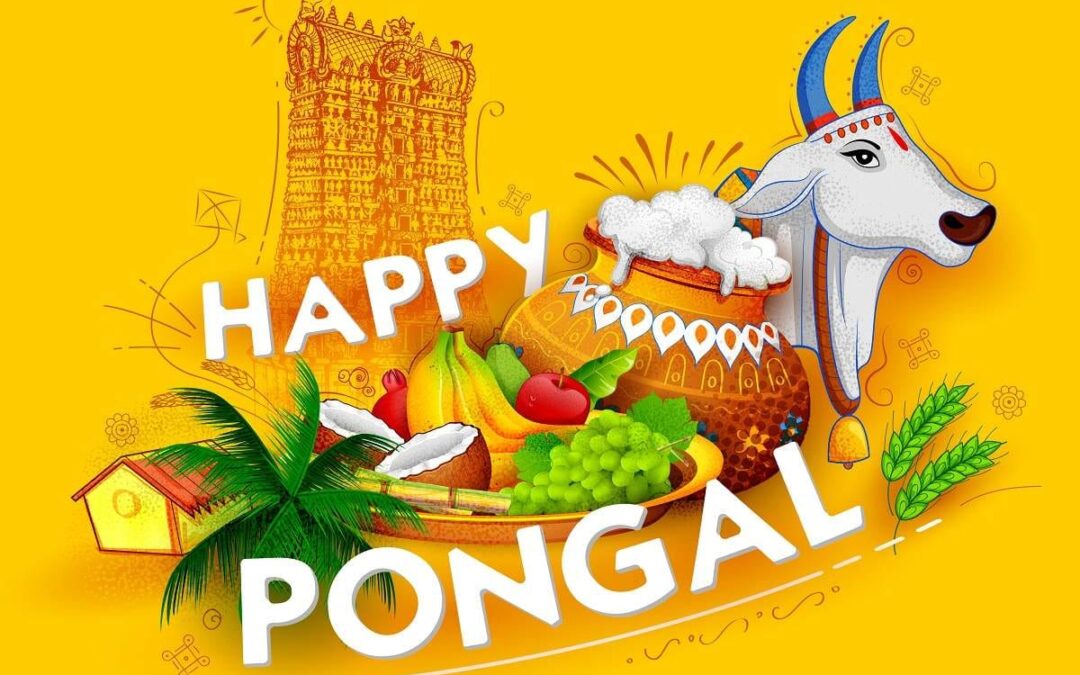 ハッピーポンガル！